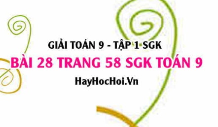 Giải bài 29 trang 59 SGK Toán 9 tập 1